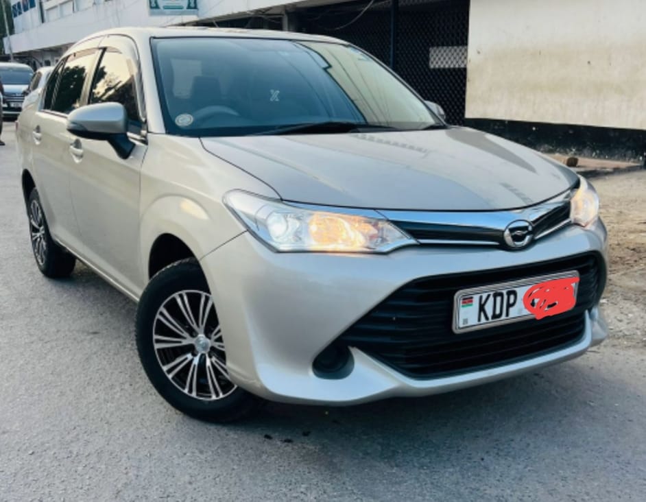 Noah Esquire for Hire